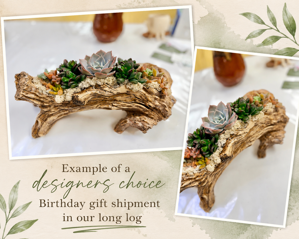 Light Driftwood Style Resin Planter with Two Planting Areas –  Beach Wood Look - Drainage - Arrangement Options