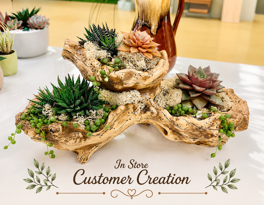 Light Driftwood Style Resin Planter with 3 Planting Areas –  Beach Wood Look - Drainage - Kit and arrangement option