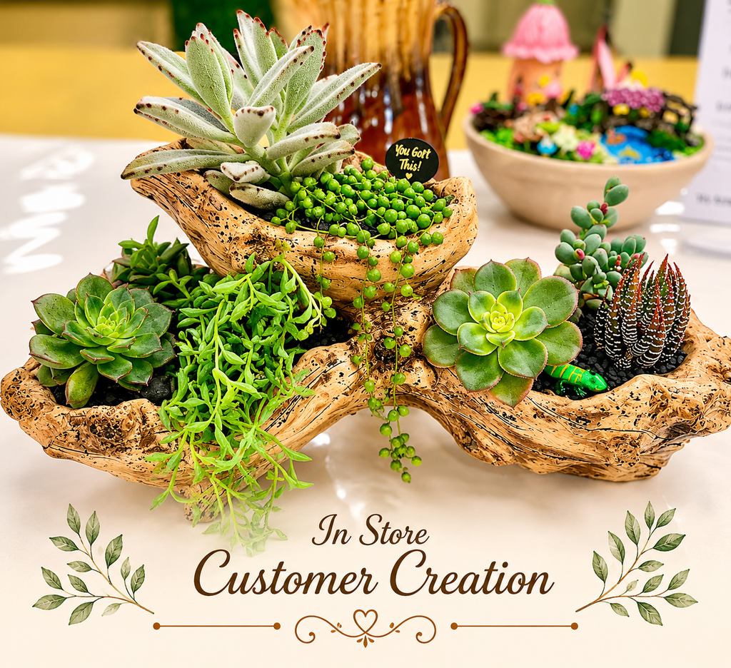 Light Driftwood Style Resin Planter with 3 Planting Areas –  Beach Wood Look - Drainage - Kit and arrangement option