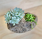 Rock pot 3/4 full of plants with a small open rock area in the center between a cluster of echeveria and string of pearls