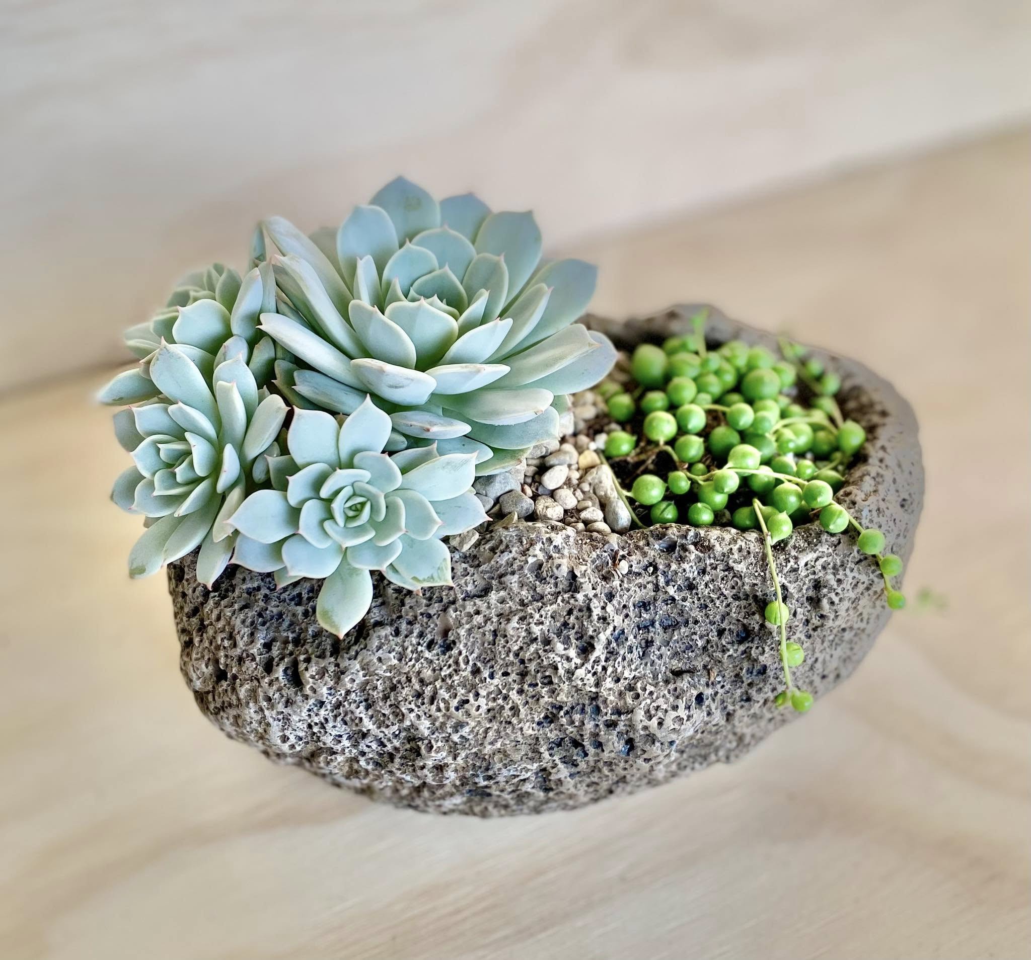 Cement Rock Planter for Succulents – DIY Kit Options - Drainage