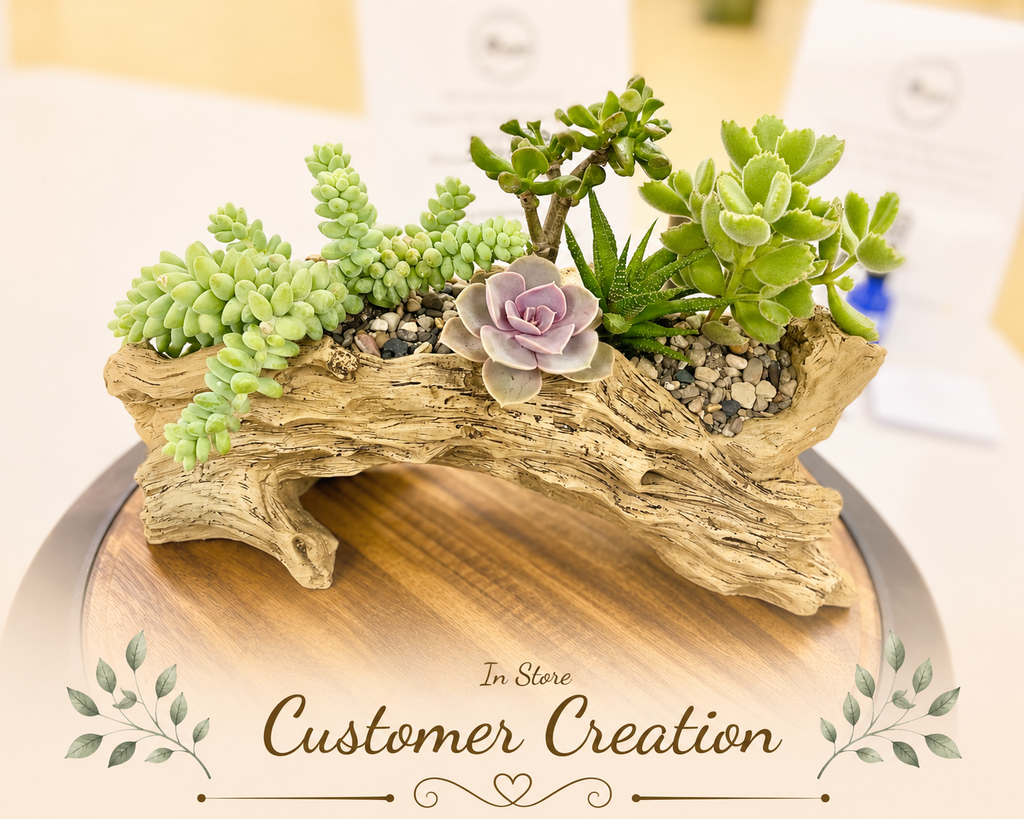 A decorative succulent arrangement in a natural driftwood planter, displayed on a wooden pedestal with a blurred indoor background and the text 'In Store Customer Creation' overlaid at the bottom.