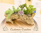 A decorative succulent arrangement in a natural driftwood planter, displayed on a wooden pedestal with a blurred indoor background and the text 'In Store Customer Creation' overlaid at the bottom.