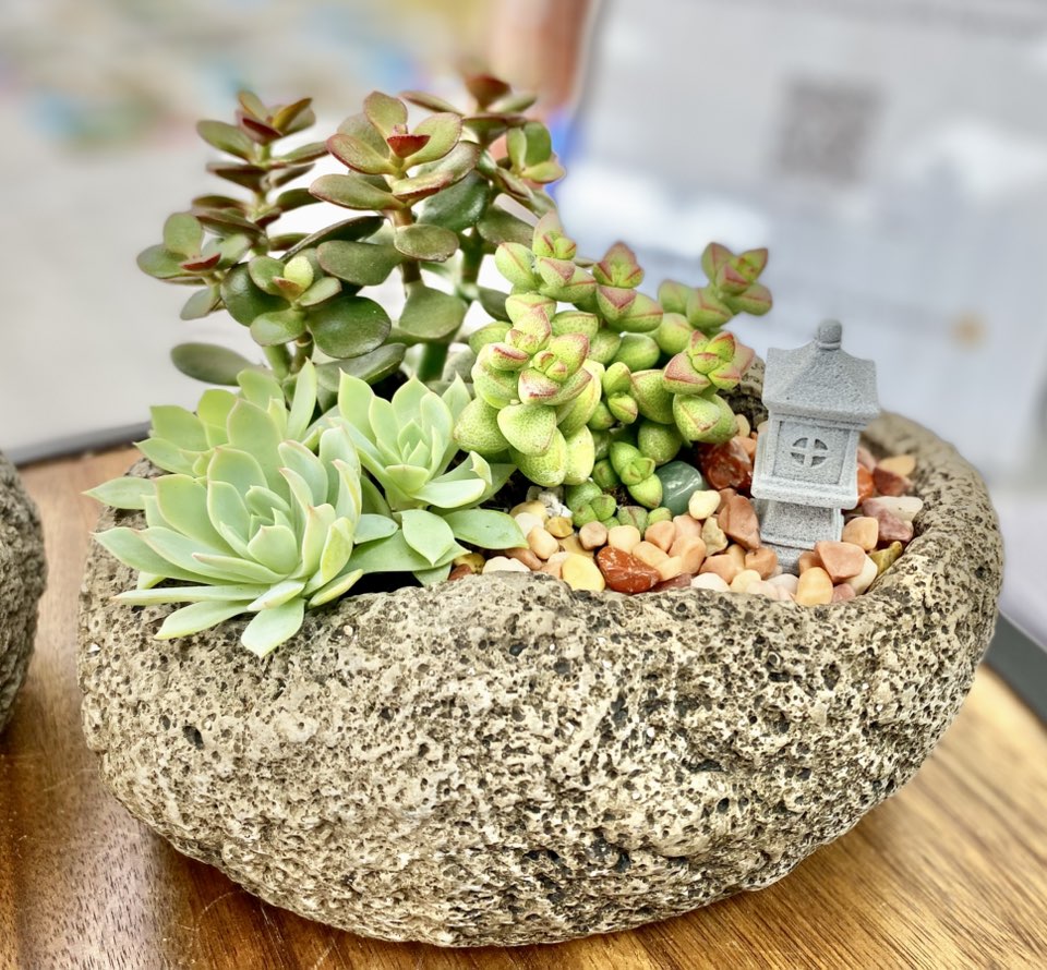 Cement Rock Planter for Succulents – DIY Kit Options - Drainage