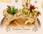 A decorative arrangement of small potted succulents and air plants set in a hollow driftwood log, displayed on a round wooden tray. The background is softly blurred, and a decorative 'In Store Customer Creation' watermark overlay is present at the bottom.