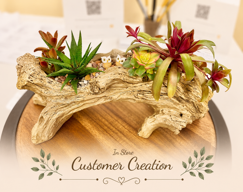 A decorative arrangement of small potted succulents and air plants set in a hollow driftwood log, displayed on a round wooden tray. The background is softly blurred, and a decorative 'In Store Customer Creation' watermark overlay is present at the bottom.