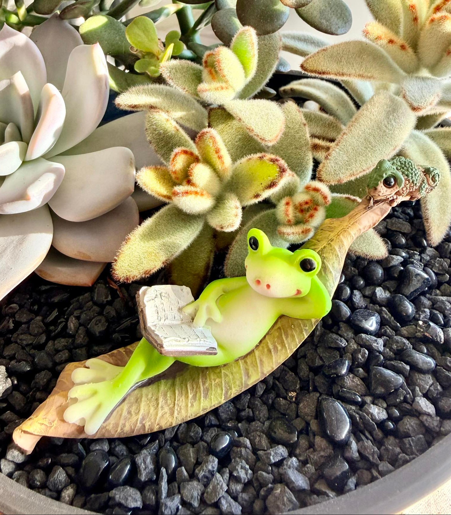 Frog figurine reading a book on a leaf with a cameleon on the end among succulents in a pot with black pebbles.