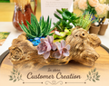 DIY Succulent Kit - Large Resin Log Planter with Drainage – Realistic Wood Look Succulent Planter