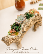 Light Driftwood Style Resin Planter with 3 Planting Areas –  Beach Wood Look - Drainage - Kit and arrangement option