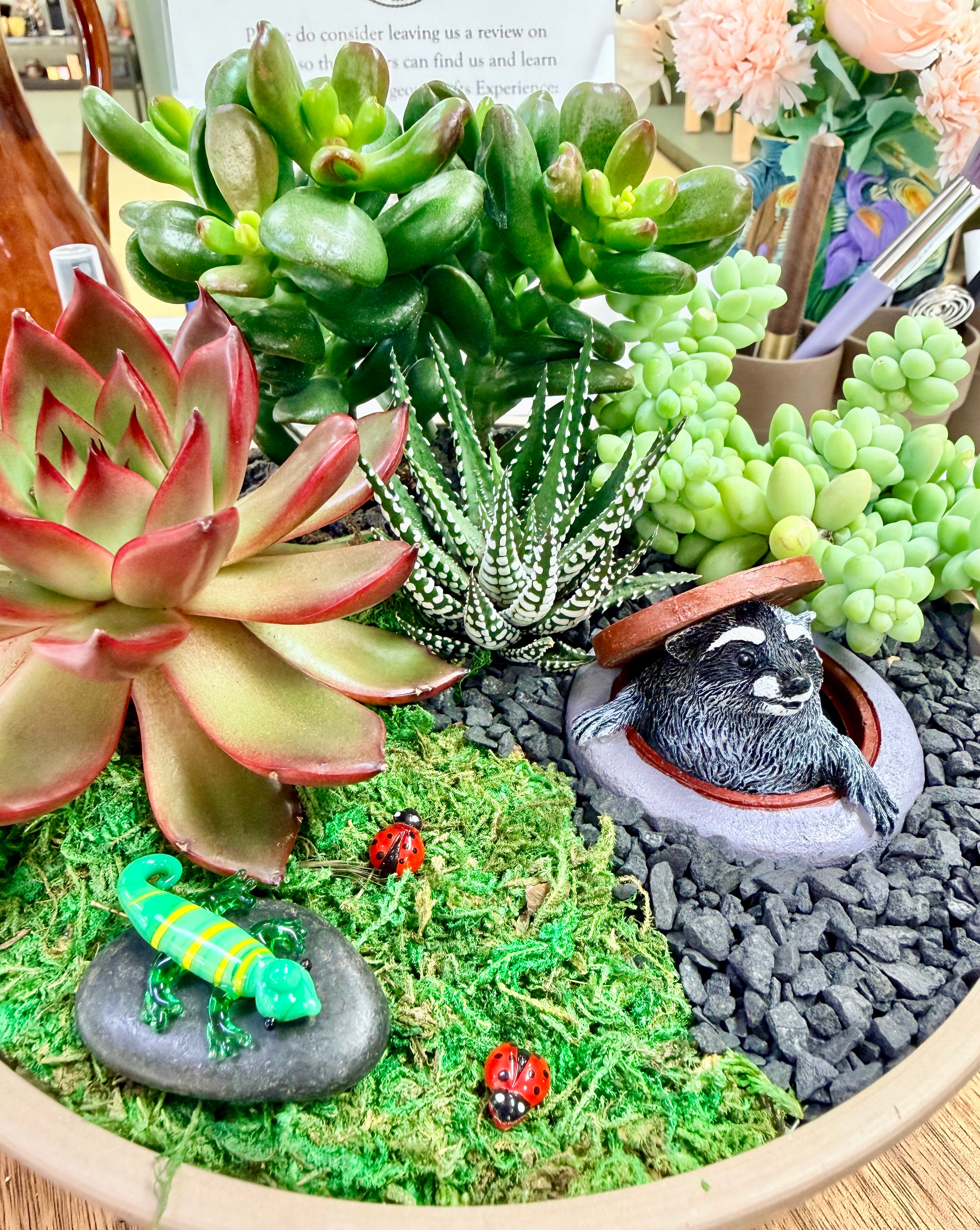 Raccoon in a Manhole Plant Decoration with succulent kit options