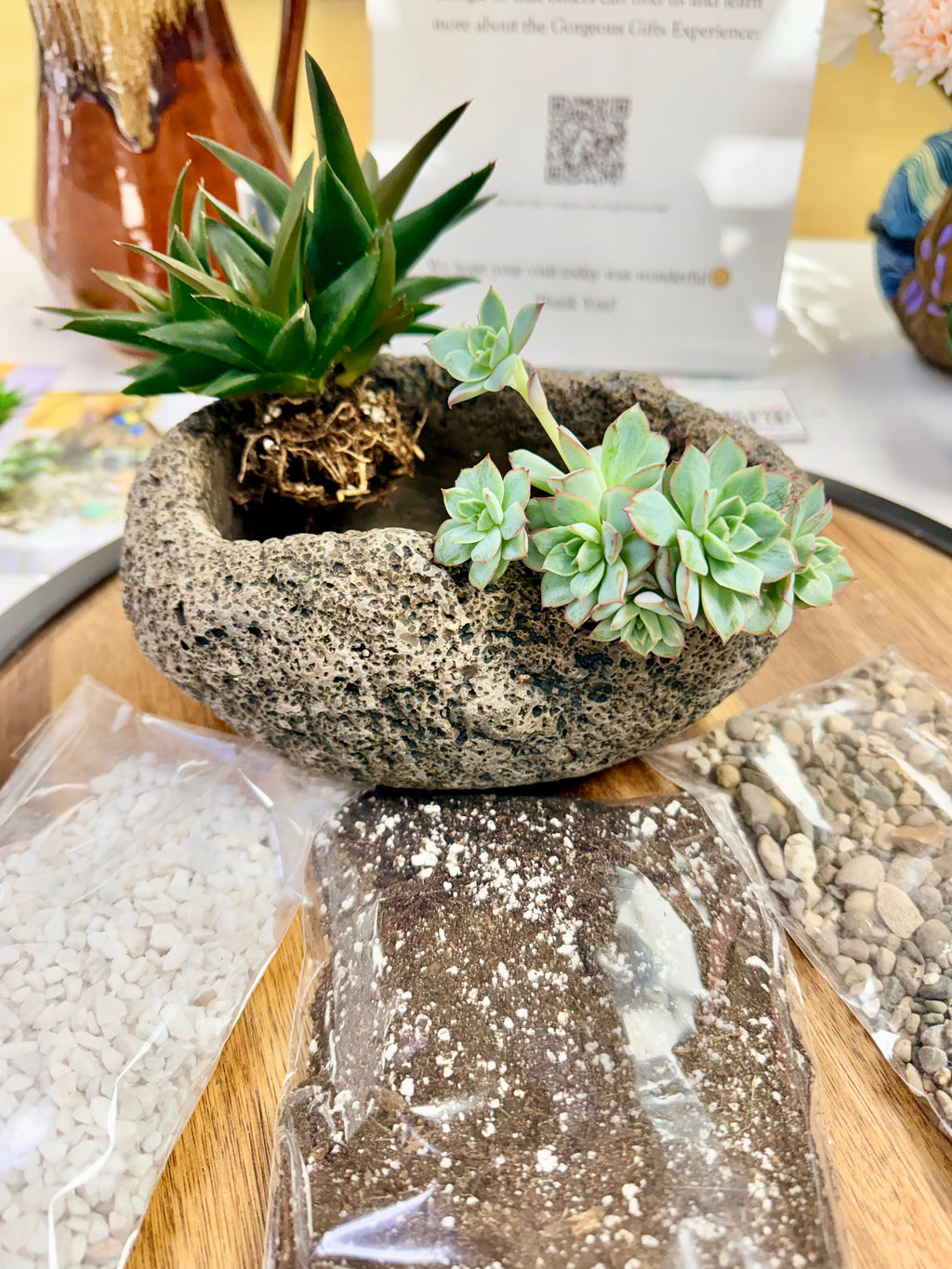3/4 full of plants kit showing bare root shipment and 2 large plants. 1 plant is a large haraworthia cluster and the other is a small echeveria cluster.  Also pictured is the bags of soil and rocks for assembly.