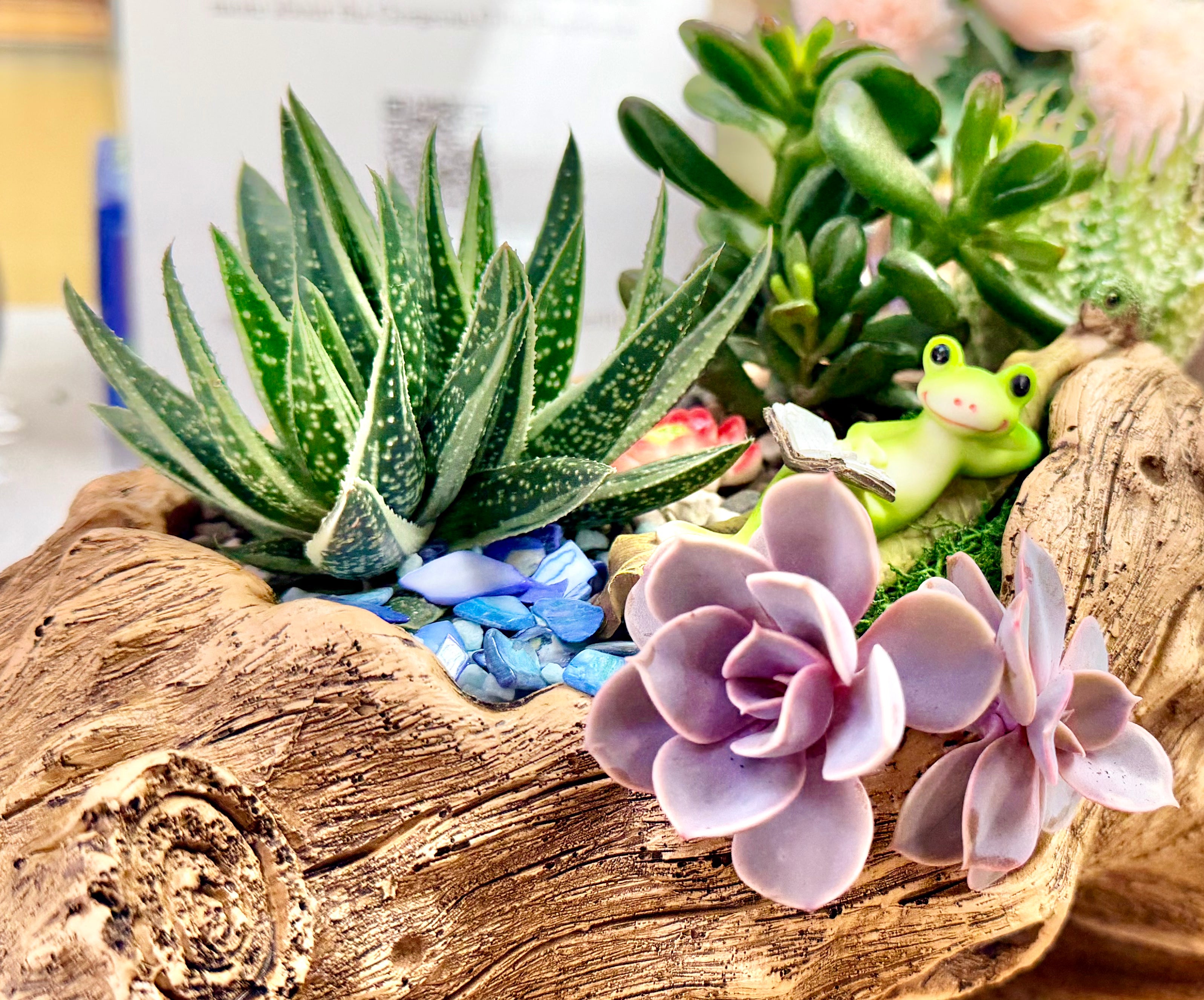 Houseplant decoration - Frog reading on a leaf with a cameleon friend  -  Unique Gift for plant lovers!