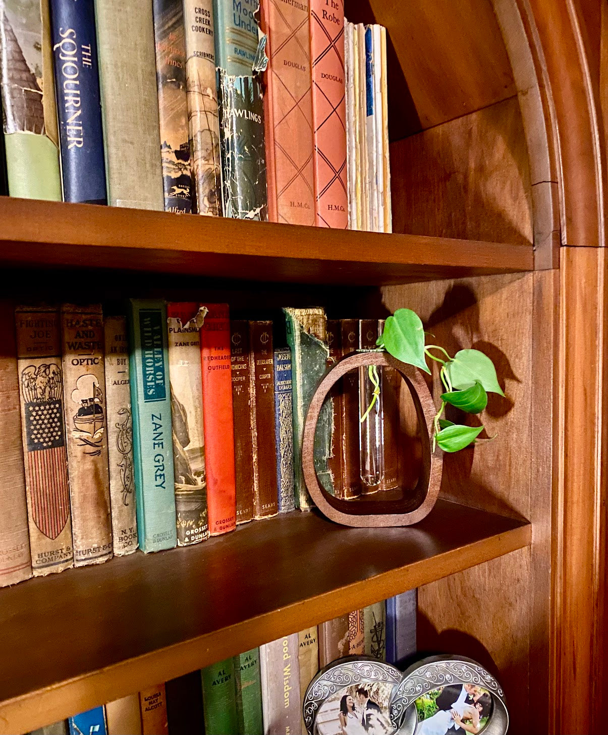 Minimalist Plant Propagation Vase with easy fill bottle – Walnut Wood