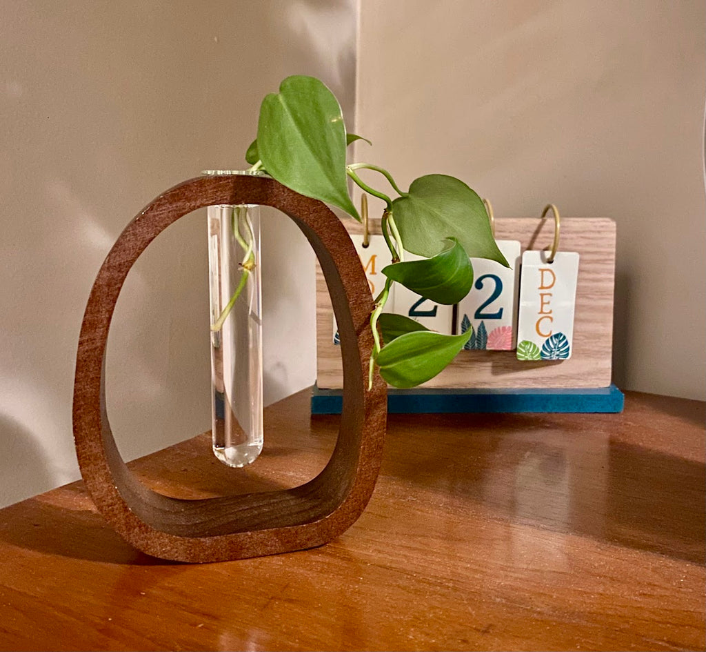 Minimalist Plant Propagation Vase with easy fill bottle – Walnut Wood
