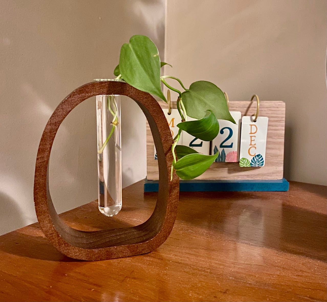 Minimalist Plant Propagation Vase with easy fill bottle – Walnut Wood