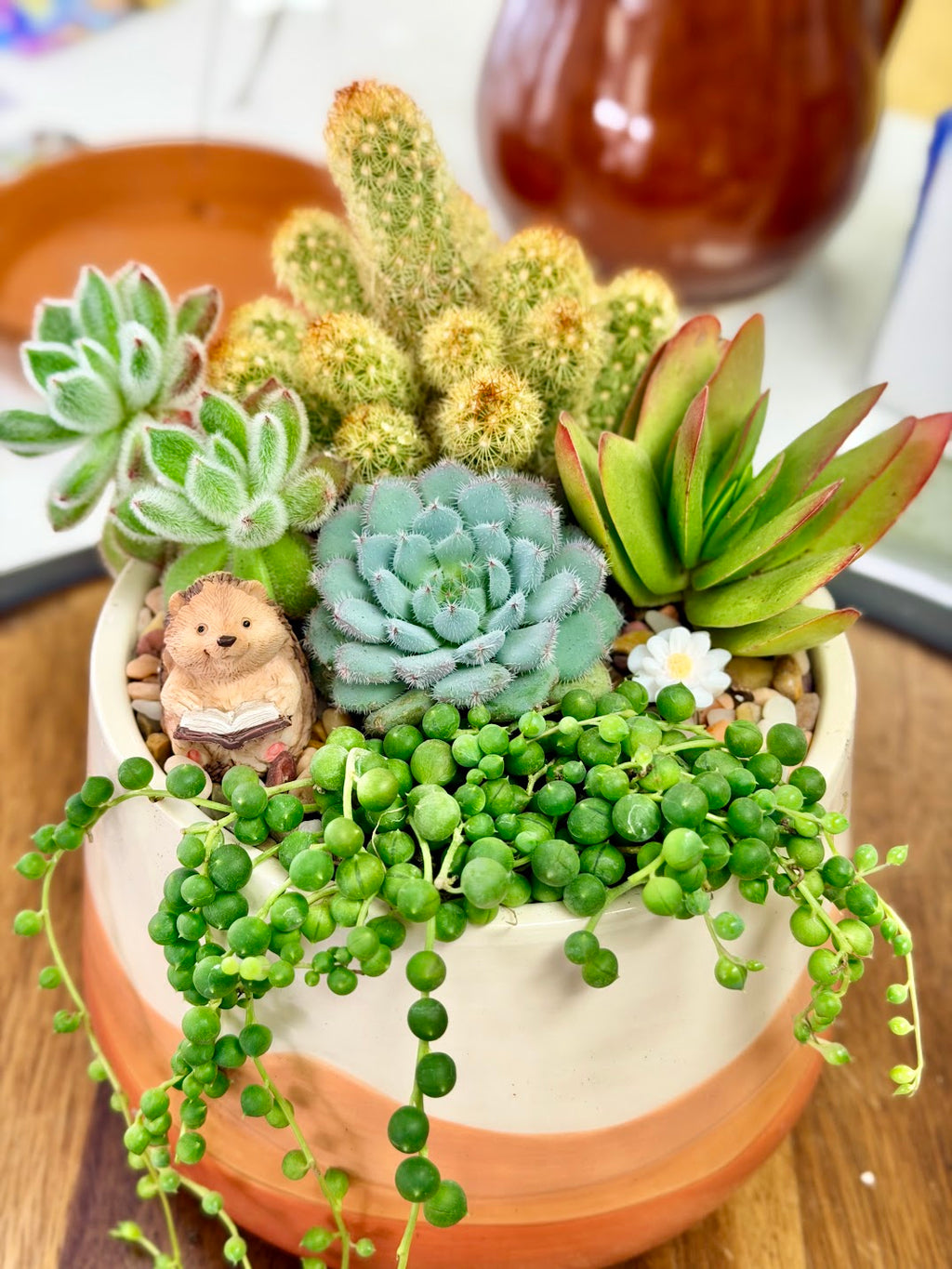 Hedgehog Fairy Garden Figurines – Reading, Welcome, Mushroom Hat