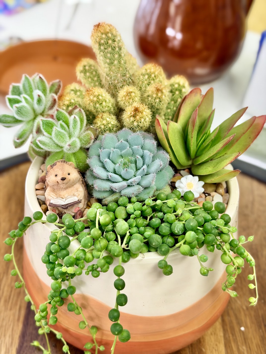 Hedgehog Fairy Garden Figurines – Reading, Welcome, Mushroom Hat