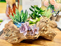 DIY Succulent Kit - Large Resin Log Planter with Drainage – Realistic Wood Look Succulent Planter