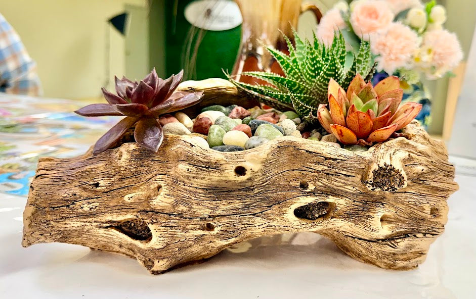 DIY Succulent Kit - Large Resin Log Planter with Drainage – Realistic Wood Look Succulent Planter