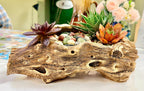 DIY Succulent Kit - Large Resin Log Planter with Drainage – Realistic Wood Look Succulent Planter