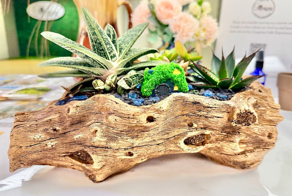 DIY Succulent Kit - Large Resin Log Planter with Drainage – Realistic Wood Look Succulent Planter