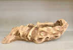 Light Driftwood Style Resin Planter with Two Planting Areas –  Beach Wood Look - Drainage - Arrangement Options