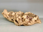 Light Driftwood Style Resin Planter with Two Planting Areas –  Beach Wood Look - Drainage - Arrangement Options