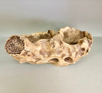 Light Driftwood Style Resin Planter with Two Planting Areas –  Beach Wood Look - Drainage - Arrangement Options