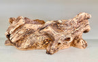 Rustic Driftwood Log Succulent Planter with Drainage – Realistic Wood Look Resin Planter – Woodland Succulent Arrangement
