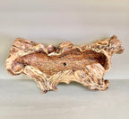Rustic Log Planter with Drainage – Realistic Wood Look Succulent Planter – Woodland Succulent Arrangement