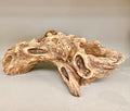 Top view of resin driftwood log planter showing natural wood grain texture
