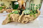 Light Driftwood Style Resin Planter with Two Planting Areas –  Beach Wood Look - Drainage - Arrangement Options