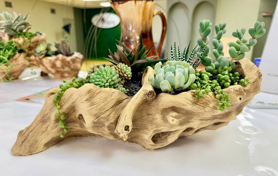 Light Driftwood Style Resin Planter with Two Planting Areas –  Beach Wood Look - Drainage - Arrangement Options