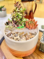 Mini Glass Lizard Figurine – Succulent Planter Accent & Kit Add-On