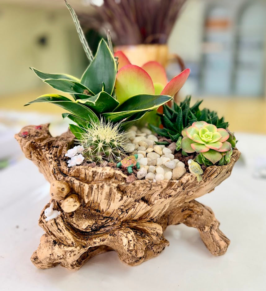Large Driftwood Resin Succulent Planter with Drainage – 10.6" Woodland Style