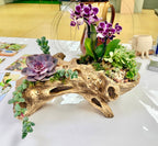 Driftwood log planter styled with purple succulents, orchids, and trailing plants on a white table
