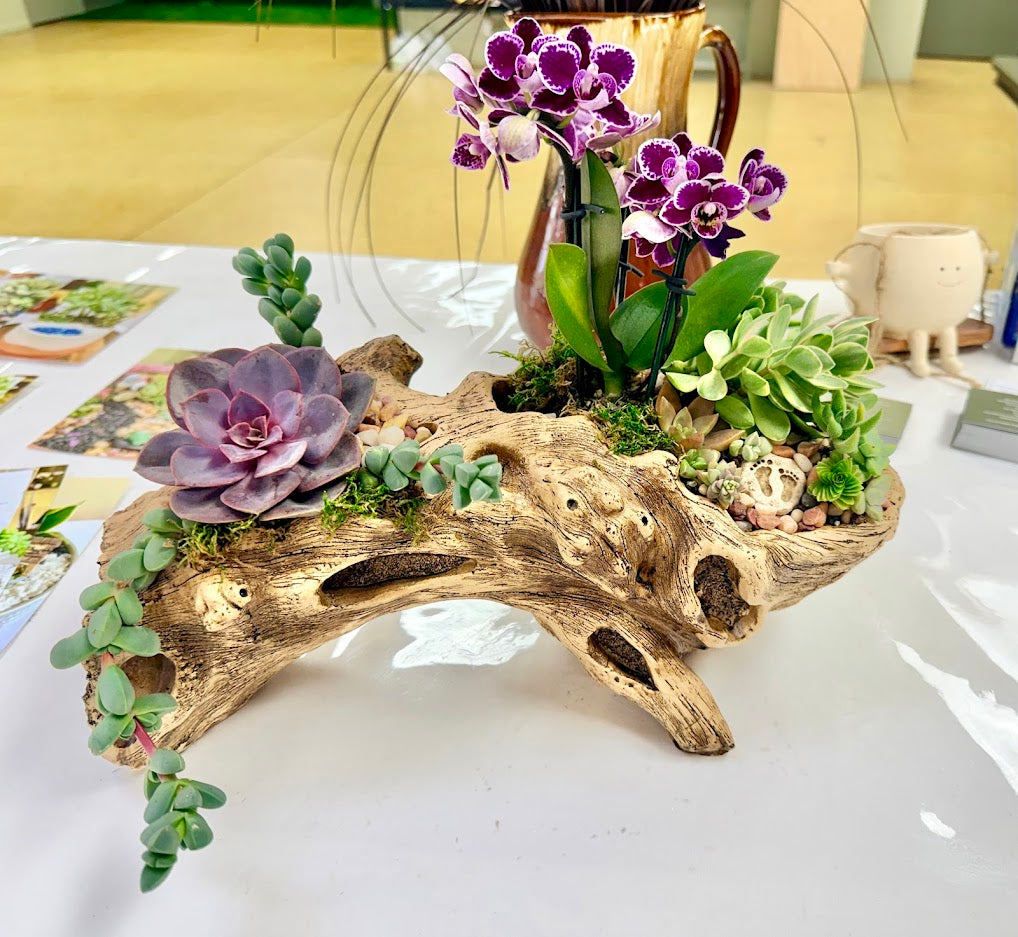 Driftwood log planter styled with purple succulents, orchids, and trailing plants on a white table