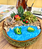 A decorative succulent and moss garden arranged in a shallow ceramic bowl filled with bright blue gravel. The garden includes small green succulents, a striped succulent, red-and-white mushrooms, a small green leafy plant, and two small green frog figurines on top of the blue gravel.
