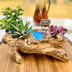 Rustic Driftwood Log Succulent Planter with Drainage – Realistic Wood Look Resin Planter – Woodland Succulent Arrangement