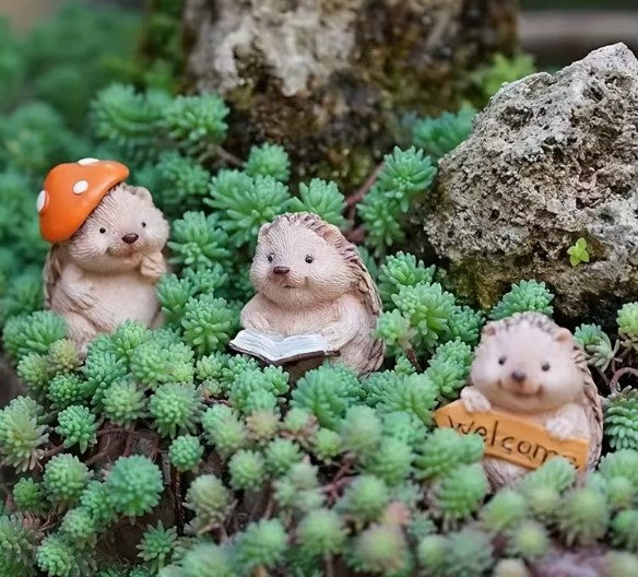 Hedgehog Fairy Garden Figurines – Reading, Welcome, Mushroom Hat