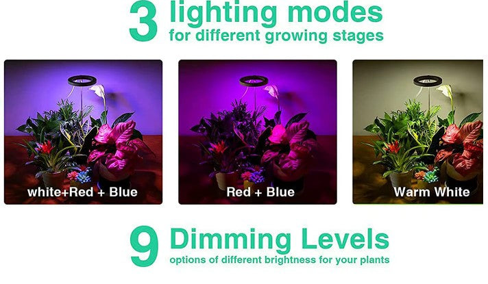 3.5" Full Spectrum Grow Light Ring – Auto On/Off Timer - Warm/Red/Blue modes
