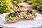 Light Driftwood Style Resin Planter with 3 Planting Areas –  Beach Wood Look - Drainage - Kit and arrangement option