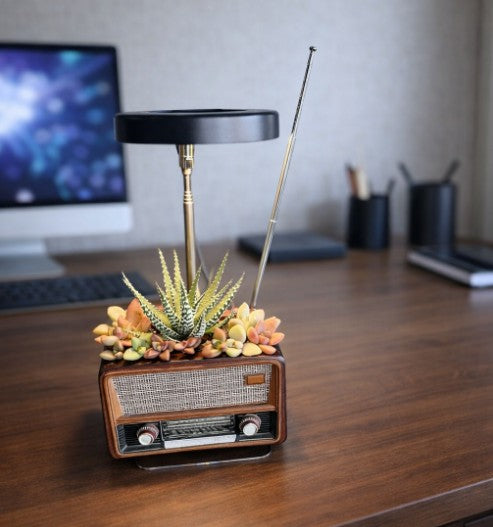 Retro Radio Planter - Mid-Century Modern Desk Decor - Unique Vintage Style Gift