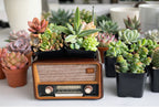 Retro Radio Planter - Mid-Century Modern Desk Decor - Unique Vintage Style Gift