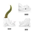 DIY Succulent Kit - Cat Tail Planter with Drainage Hole – Stretching Kitty Ceramic Succulent Pot