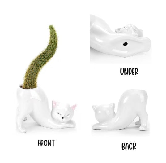 DIY Succulent Kit - Cat Tail Planter with Drainage Hole – Stretching Kitty Ceramic Succulent Pot
