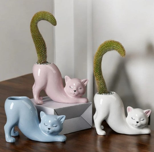 DIY Succulent Kit - Cat Tail Planter with Drainage Hole – Stretching Kitty Ceramic Succulent Pot