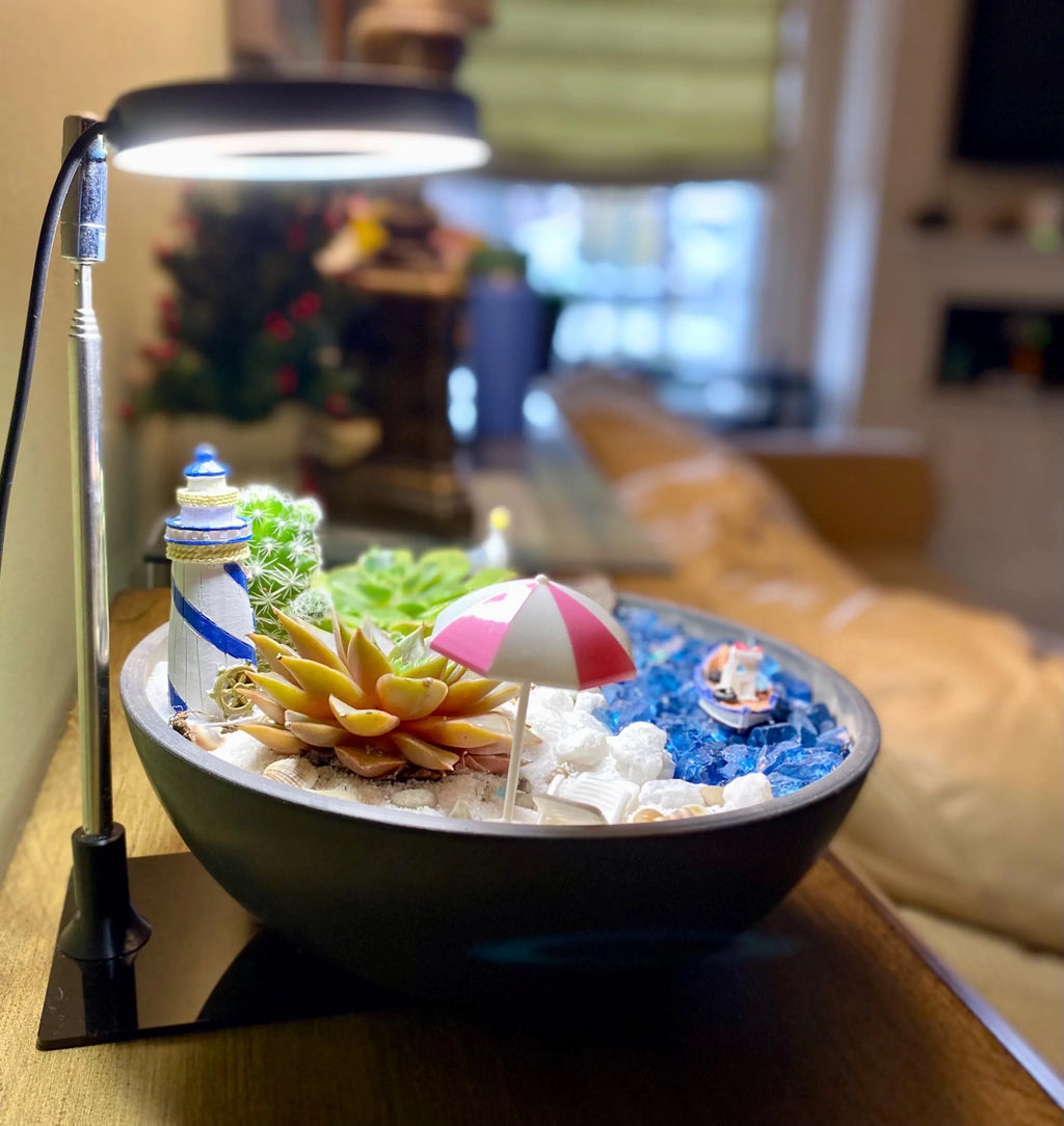 Decorative bowl with miniature beach scene on a table. Beach scene is supported with a black acrylic base holding a grow light over succulents