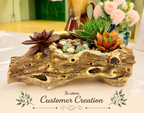 DIY Succulent Kit - Large Resin Log Planter with Drainage – Realistic Wood Look Succulent Planter