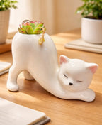 DIY Succulent Kit - Cat Tail Planter with Drainage Hole – Stretching Kitty Ceramic Succulent Pot